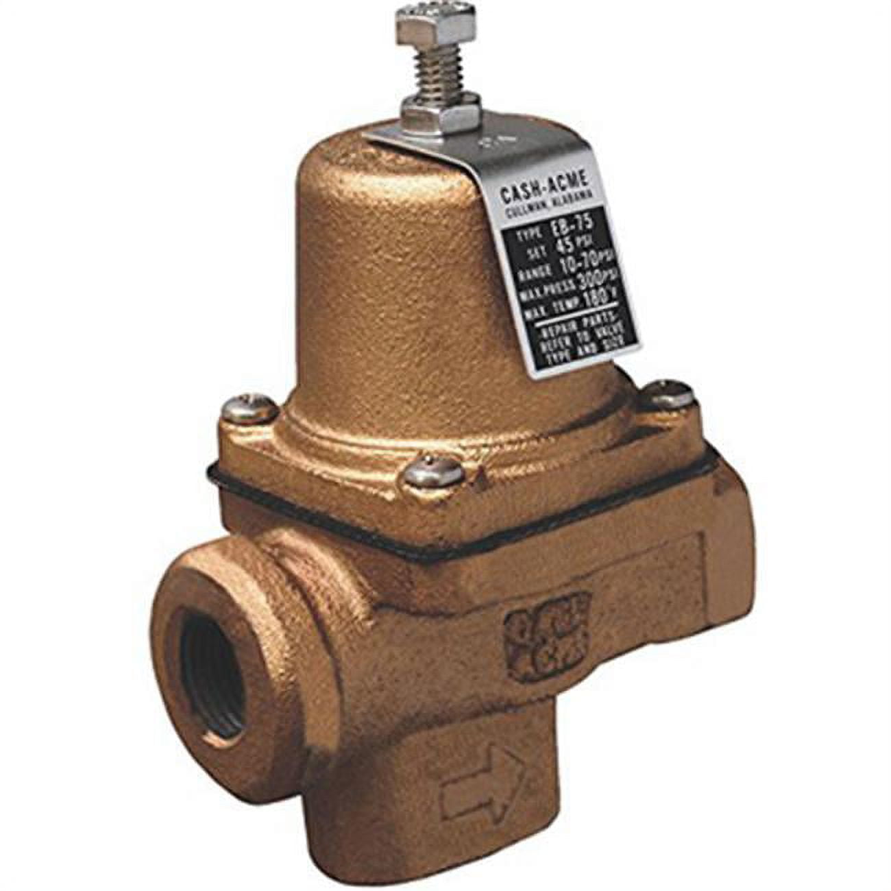 0.5 in. Iron Body Press Regulator
