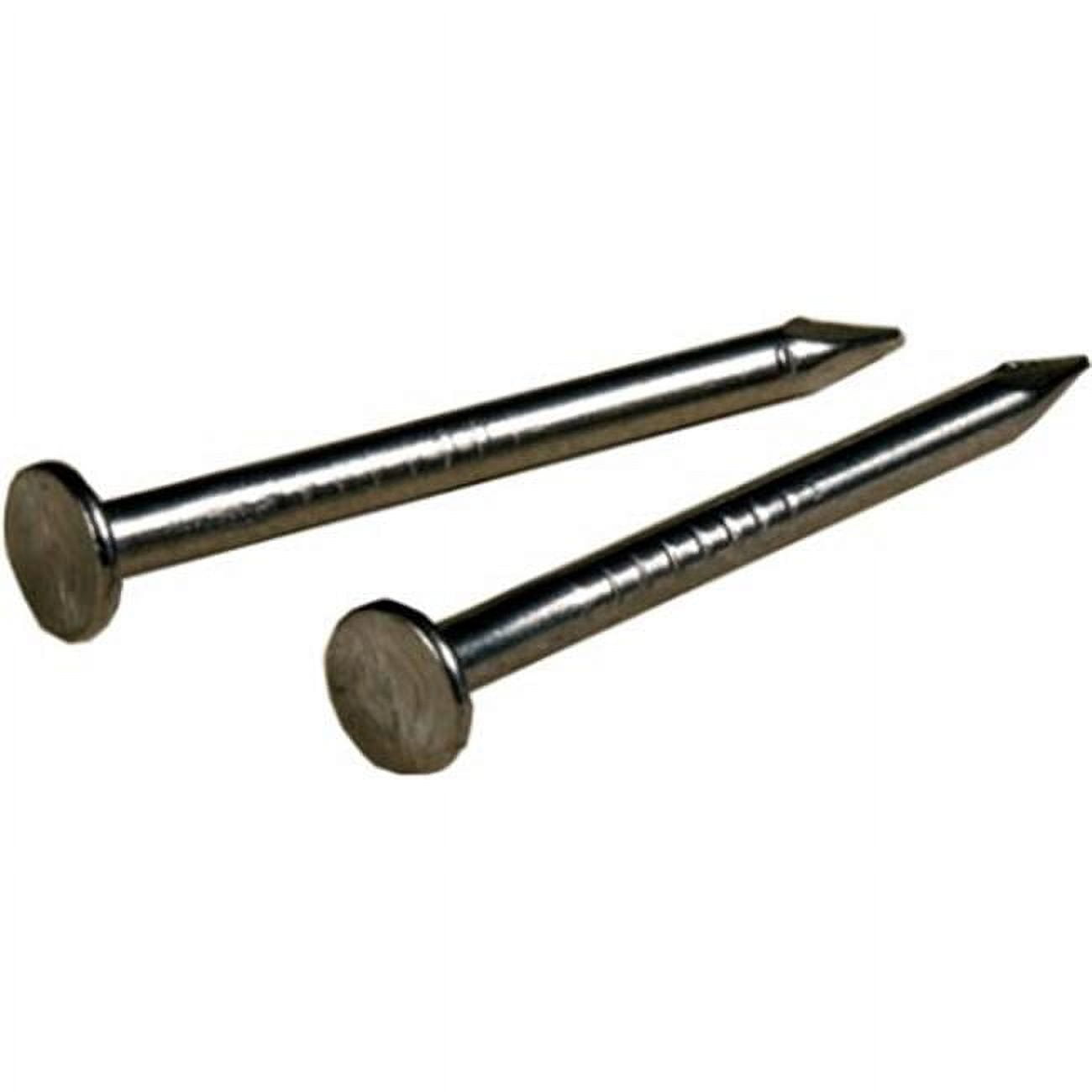1 x 18 in. Zinc Bright Wire Nails