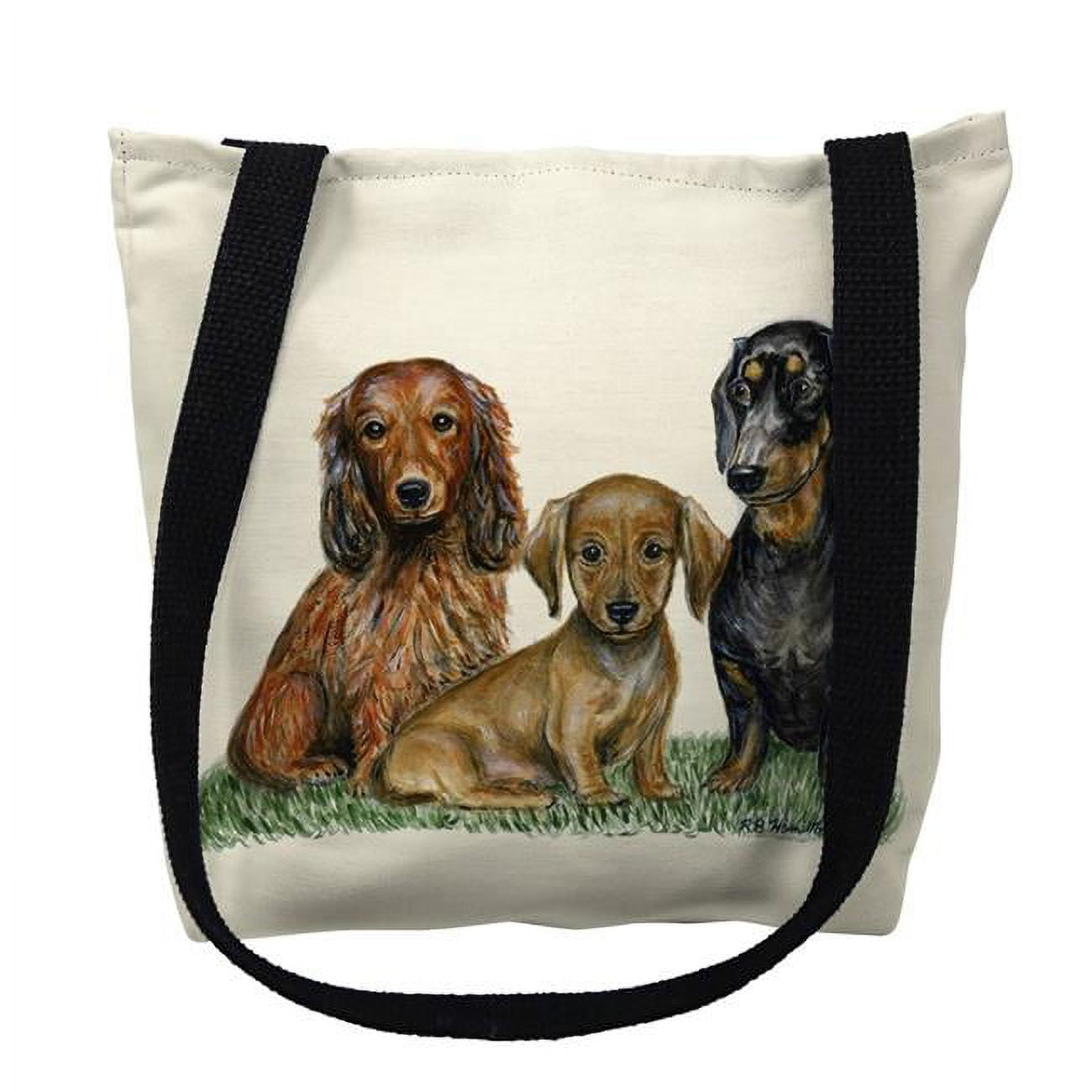 18 x 18 in. Dachshunds Tote Bag - Large