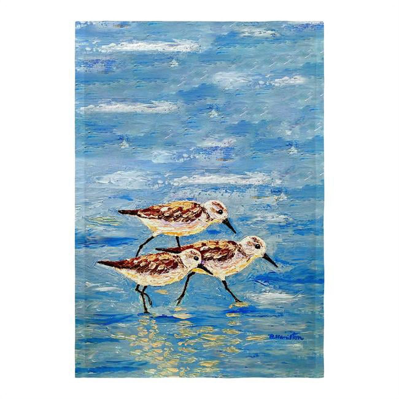 12.5 x 18 in. Sandpiper Race Flag