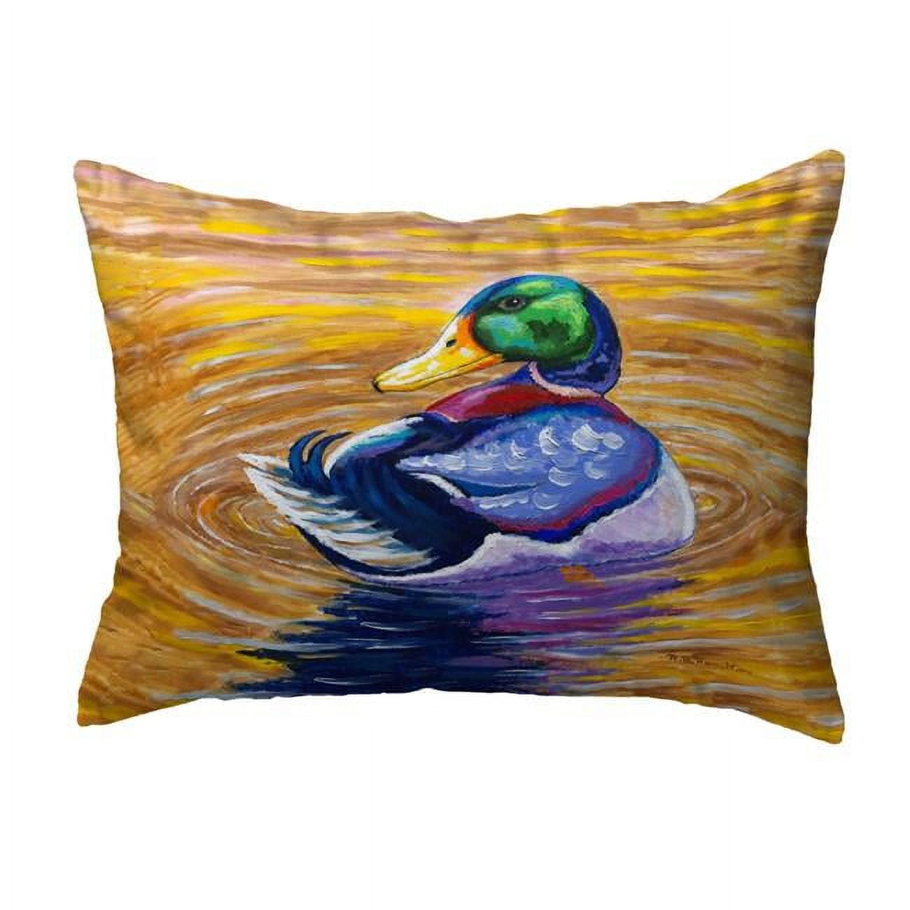 16 x 20 in. Duck Looking No Cord Pillow