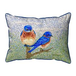 20 x 24 in. Two Blue Birds Zippered Pillow - Extra Large