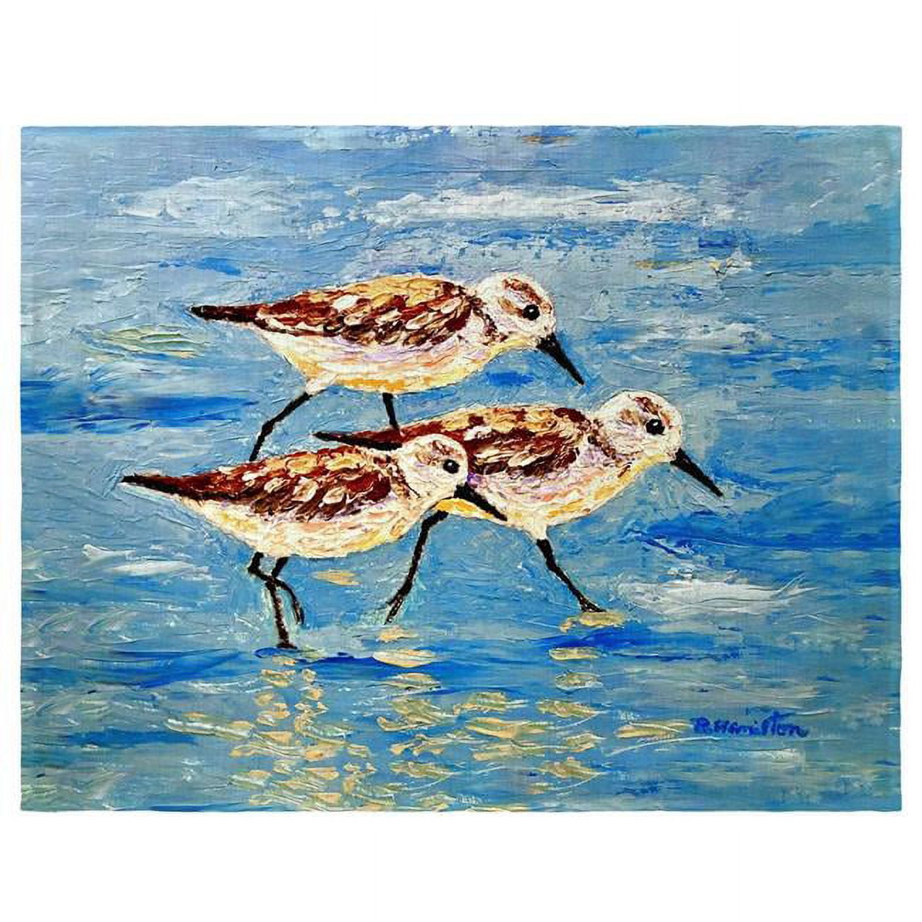 Picture of Betsy Drake PM1405 14 x 18 in. Sandpiper Race Place Mat - Set of 4
