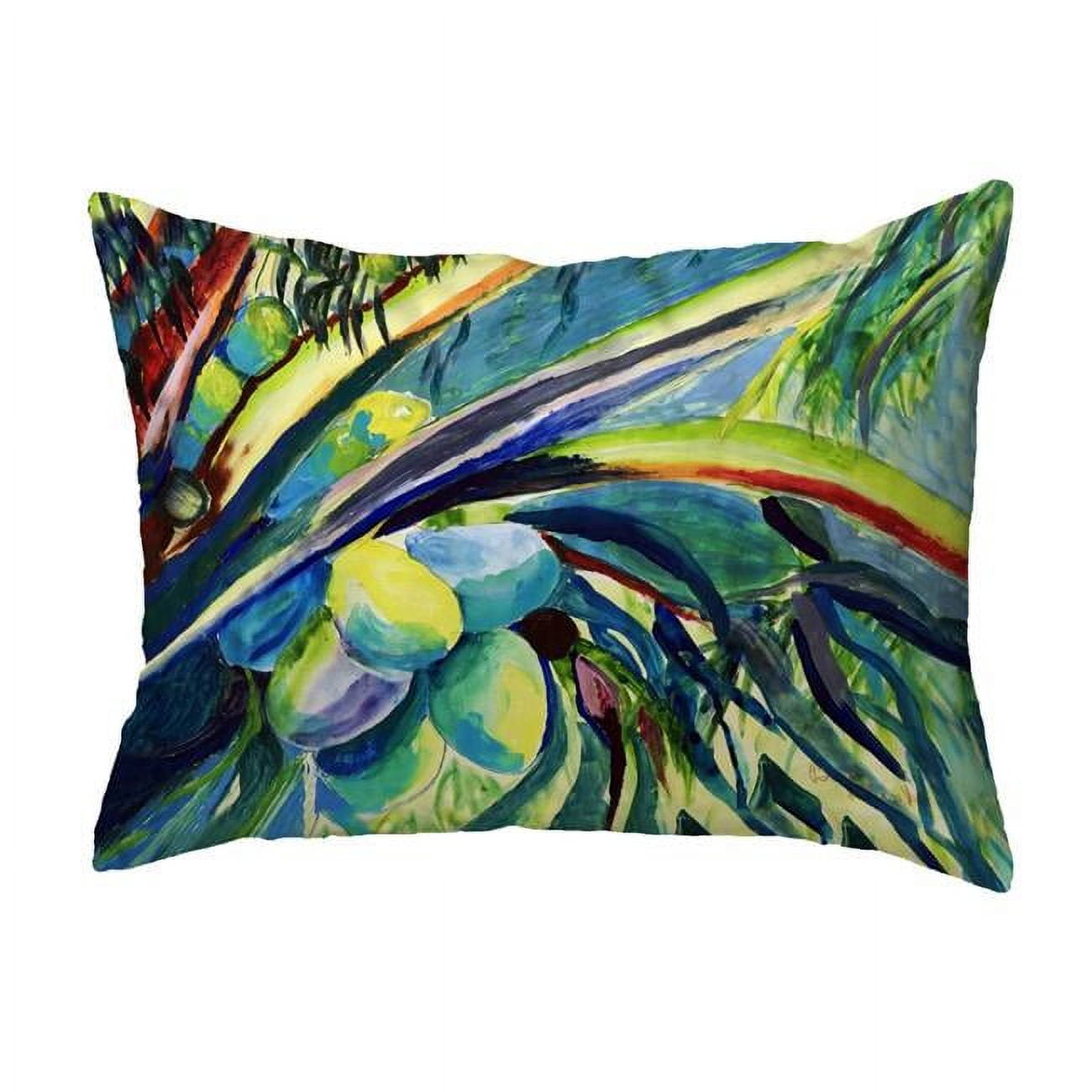 11 x 14 in. Cocoa Nuts III Non-Corded Pillow - Small