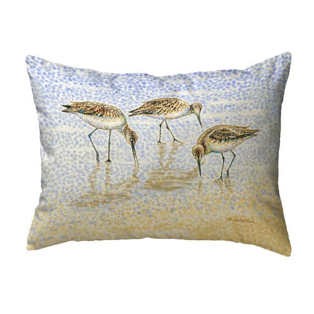 16 x 20 in. Willet Sandpipers Feeding No Cord Pillow