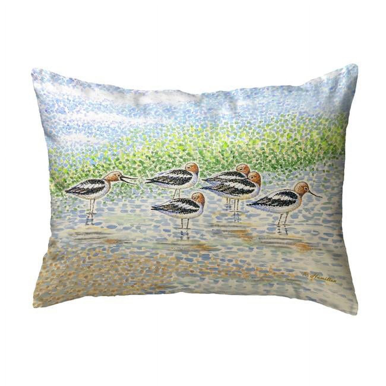 11 x 14 in. Summer Avocets Non-Corded Pillow - Small