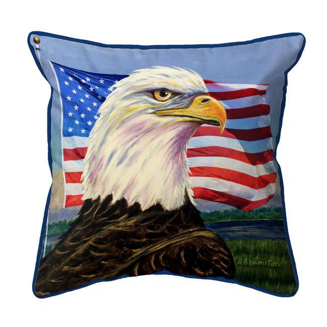 12 x 12 in. US Flag Eagle Indoor & Outdoor Pillow - Small