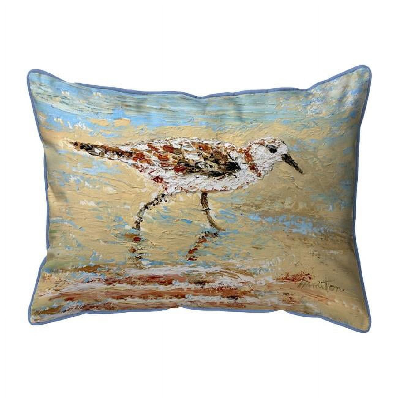20 x 24 in. Lone Sandpiper Zippered Pillow - Extra Large