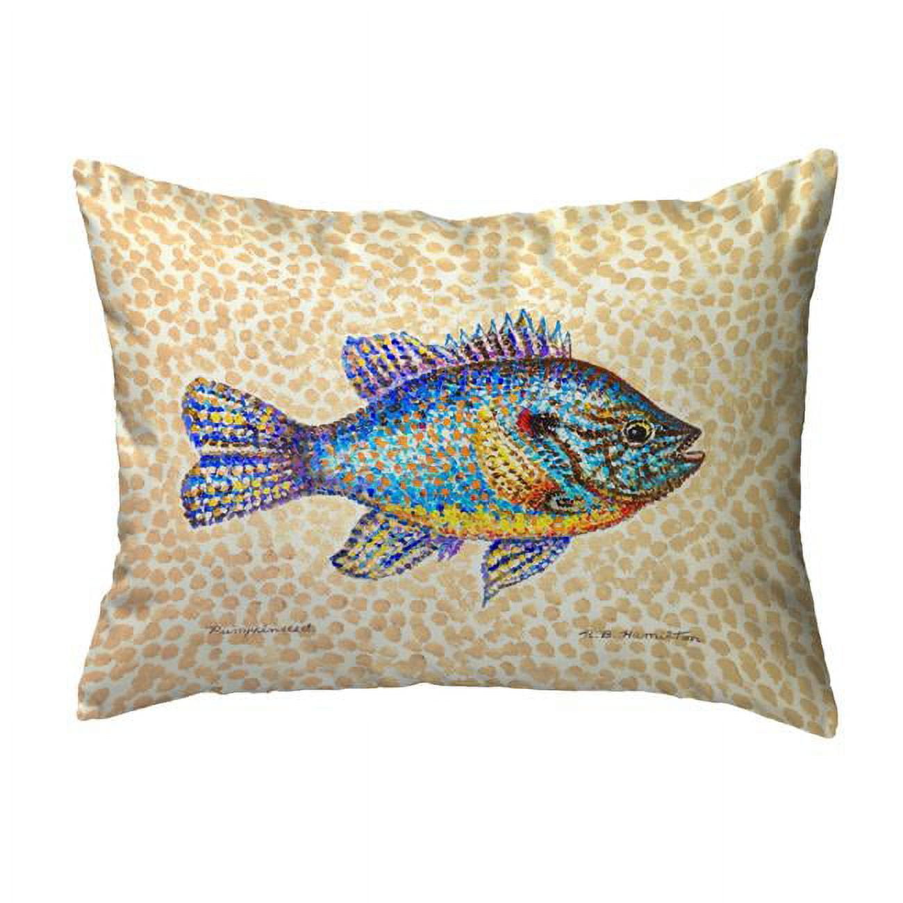 16 x 20 in. Pumpkinseed Fish No Cord Pillow