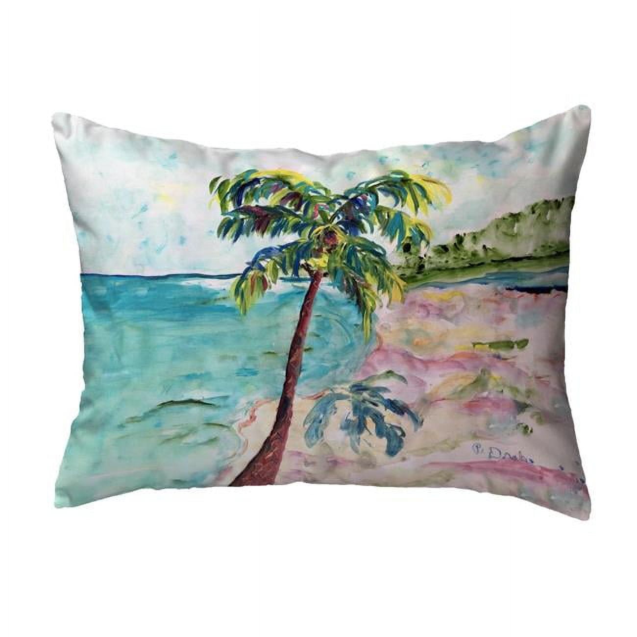 16 x 20 in. Palm & Coast No Cord Pillow