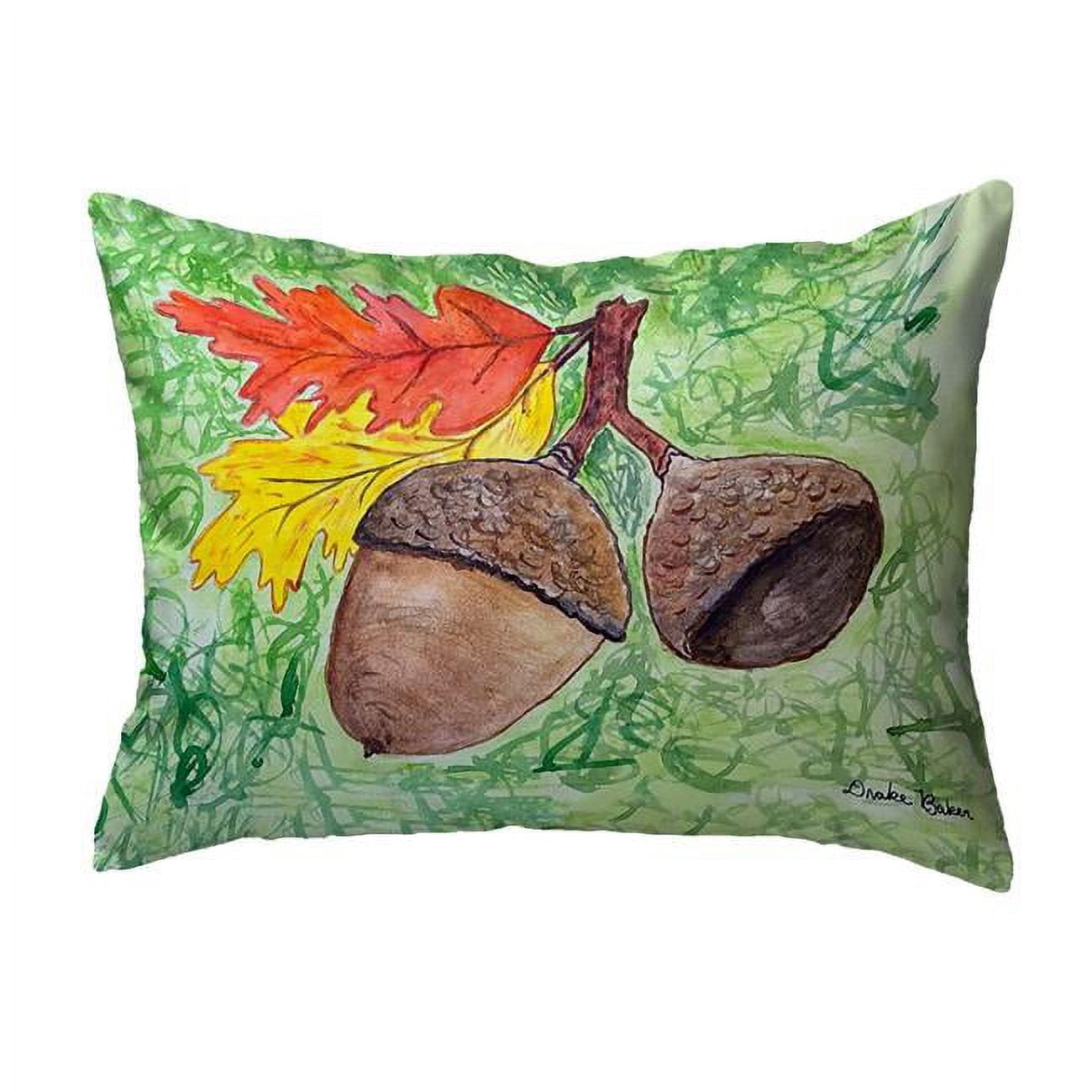11 x 14 in. Drakes Acorns Non-Corded Pillow - Small