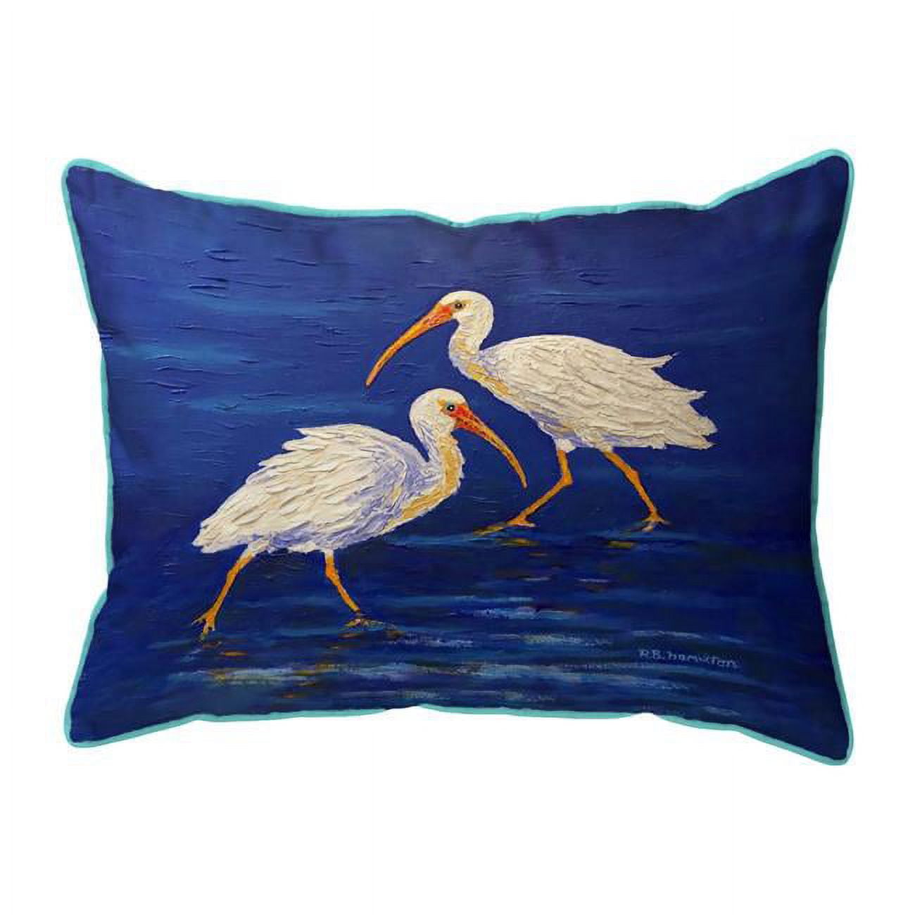 16 x 20 in. Ibis Passing Large Indoor & Outdoor Pillow