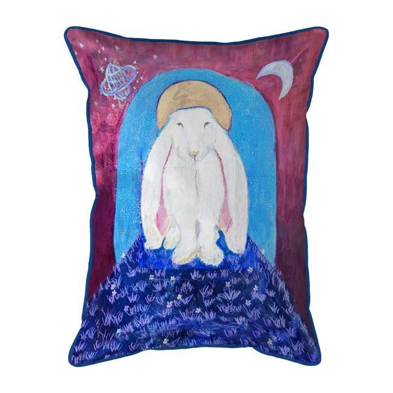 16 x 20 in. Night Bunny Large Indoor & Outdoor Pillow