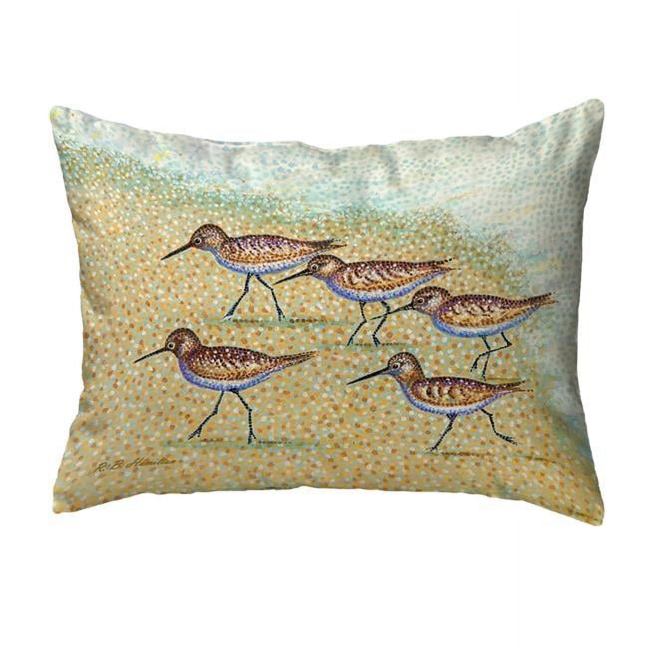 16 x 20 in. Pointillist Sanderlings No Cord Pillow