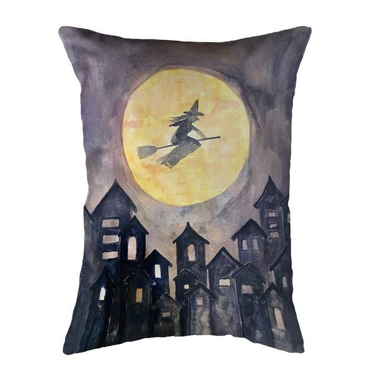 16 x 20 in. Drakes Witch No Cord Pillow