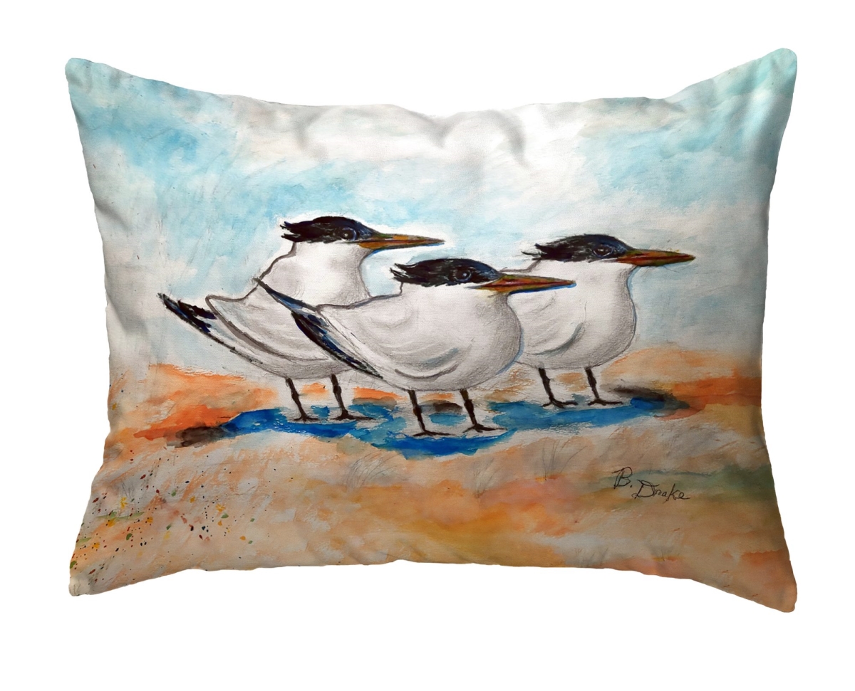 NC1521 Three Terns No Cord Pillow - 16 x 20 in.