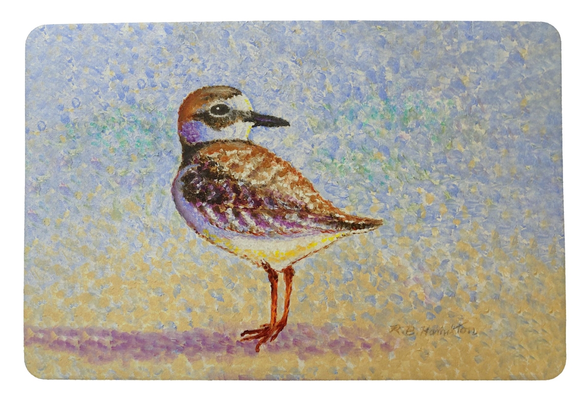 DM1322 Wilsons Plover Door Mat - 18 x 26 in.