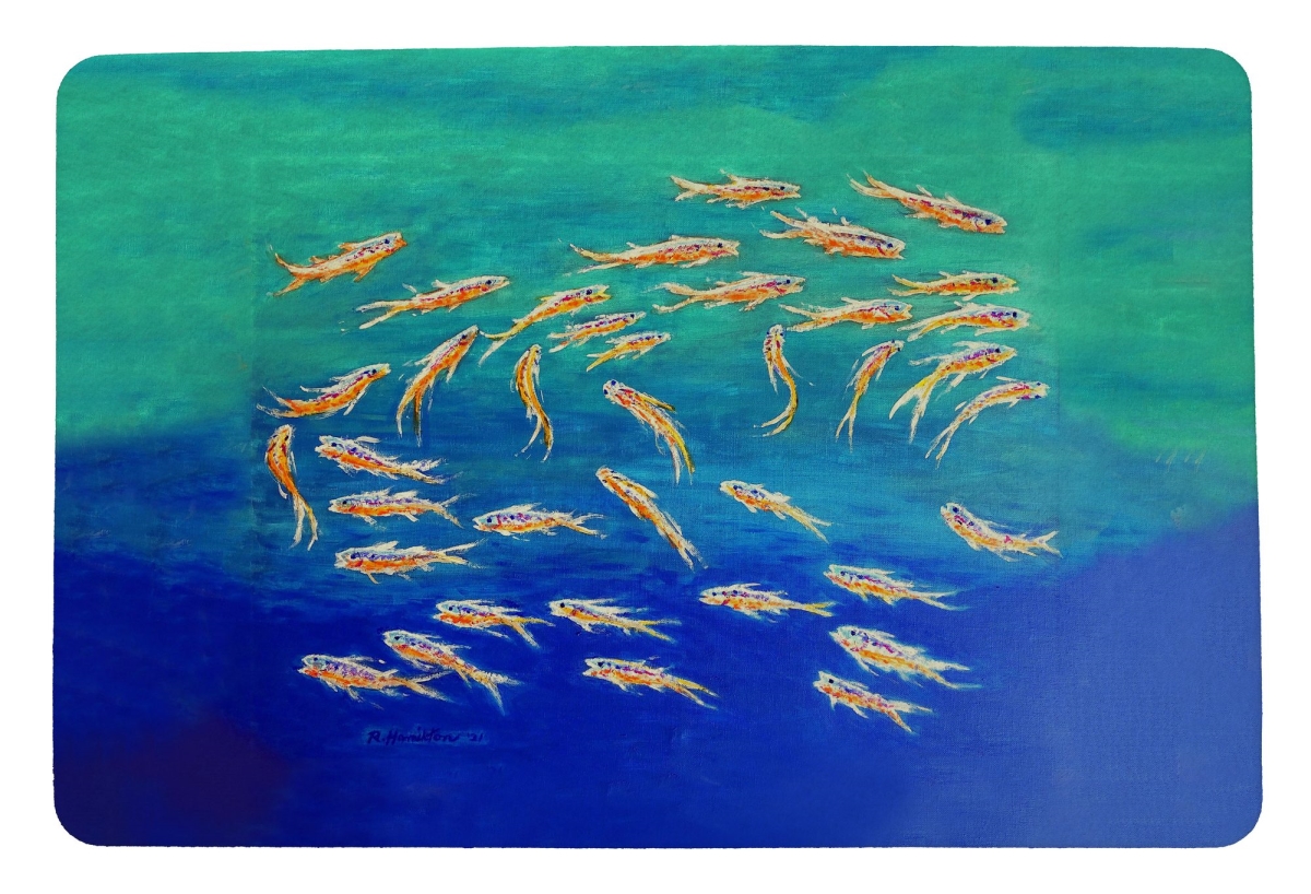 DM1323 Schooling Fish Door Mat - 18 x 26 in.
