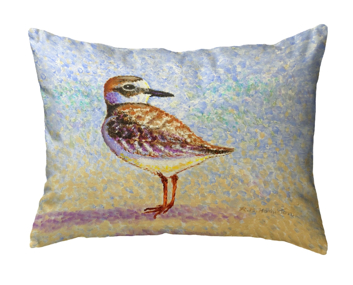 NC1322 Wilsons Plover No Cord Pillow - 16 x 20 in.