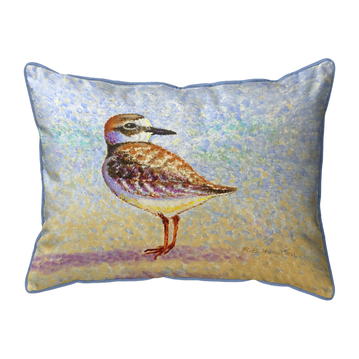 ZP1322 Wilsons Plover Extra Large Zippered Pillow - 20 x 24 in.