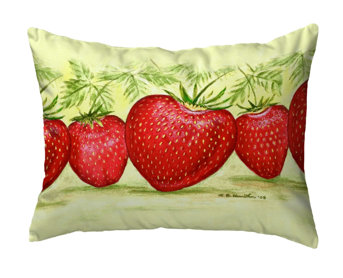 KS1325 Strawberries Small Noncorded Pillow - 11 x 14 in.