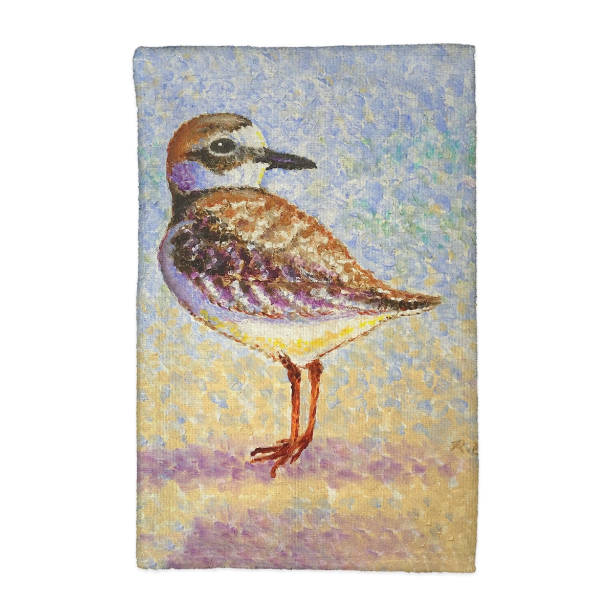 Picture of Betsy Drake KT1322 Wilsons Plover Kitchen Towel - 16 x 25 in.