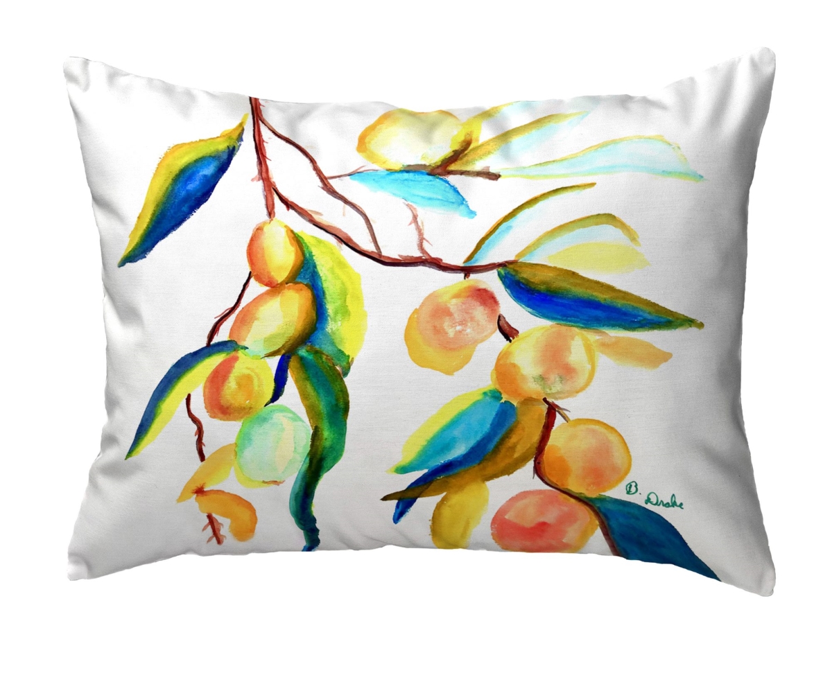 KS1534 Peaches II Small Noncorded Pillow - 11 x 14 in.