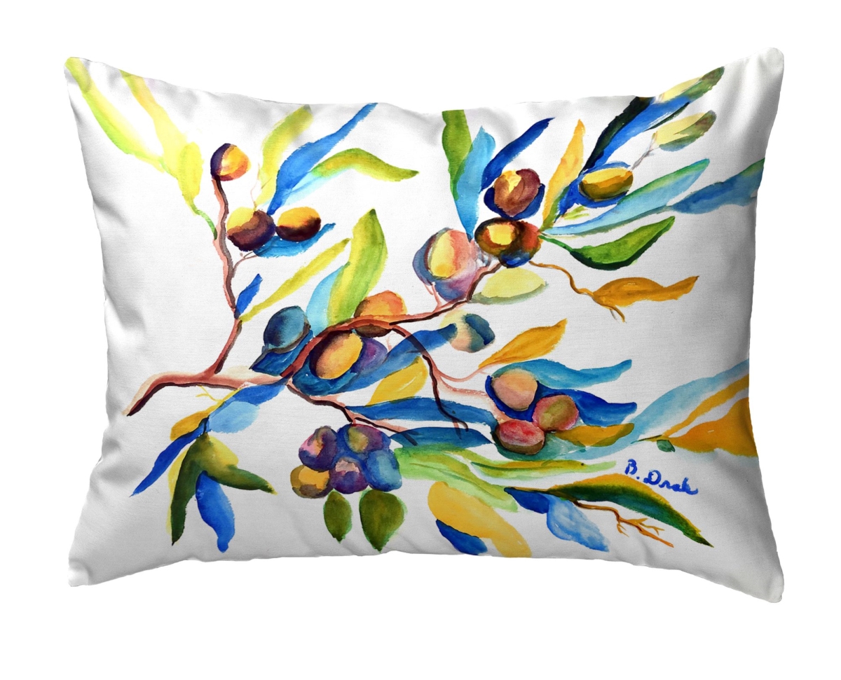 NC1535 Olives No Cord Pillow - 16 x 20 in.