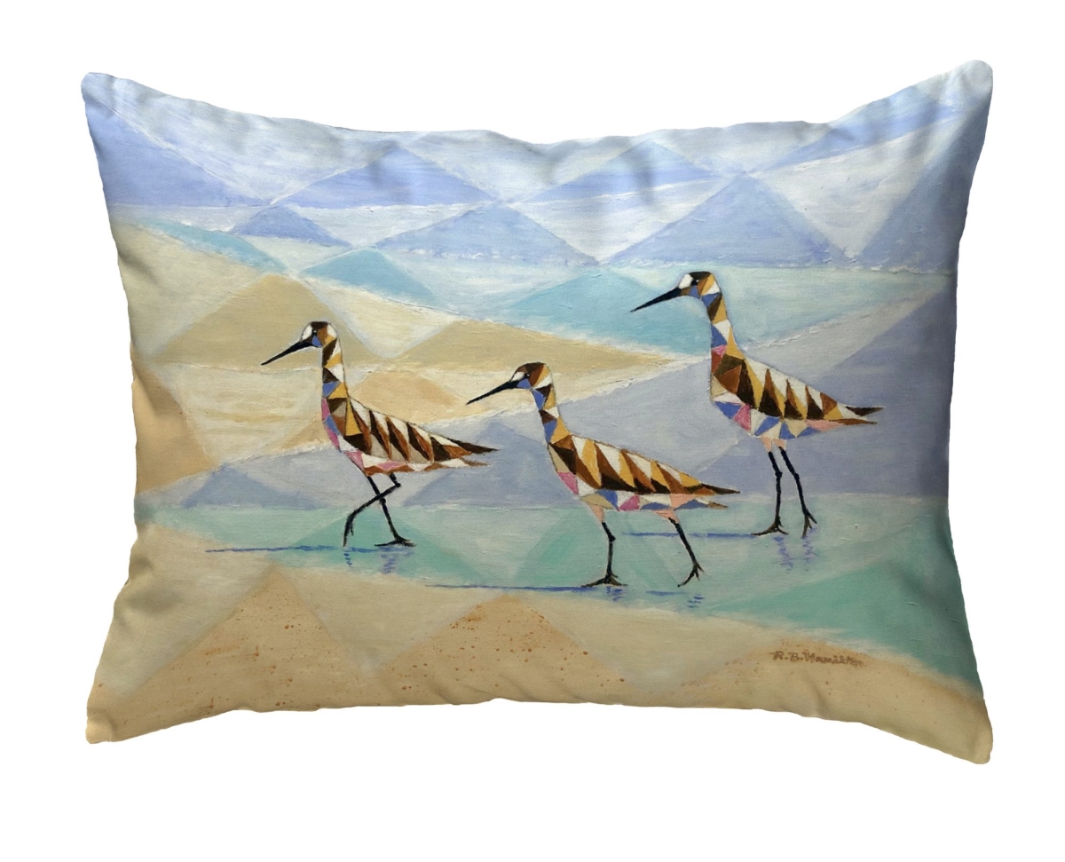 NC1461 Geometric Sandpipers No Cord Pillow - 16 x 20 in.