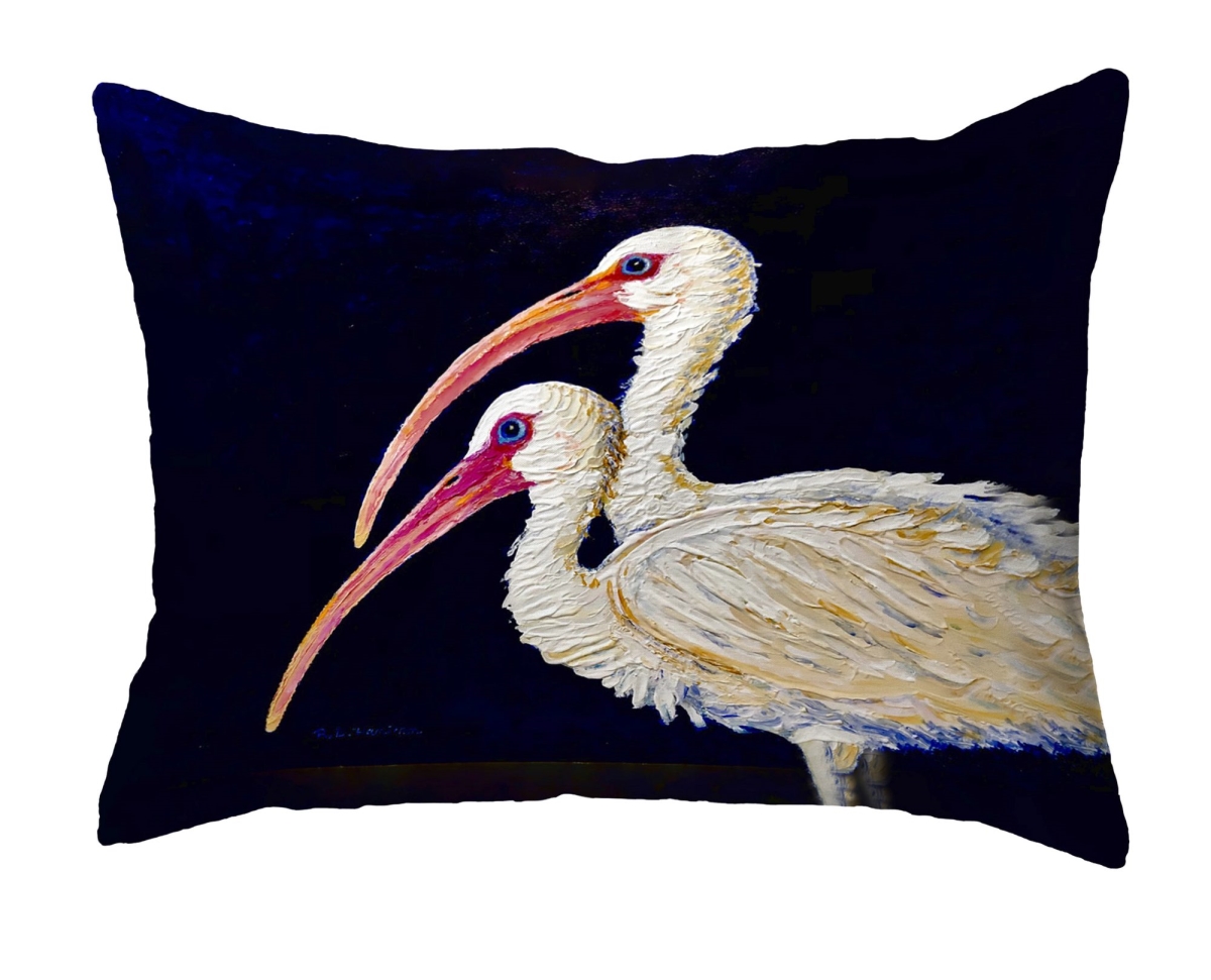 NC1519 Two Ibis No Cord Pillow - 16 x 20 in.