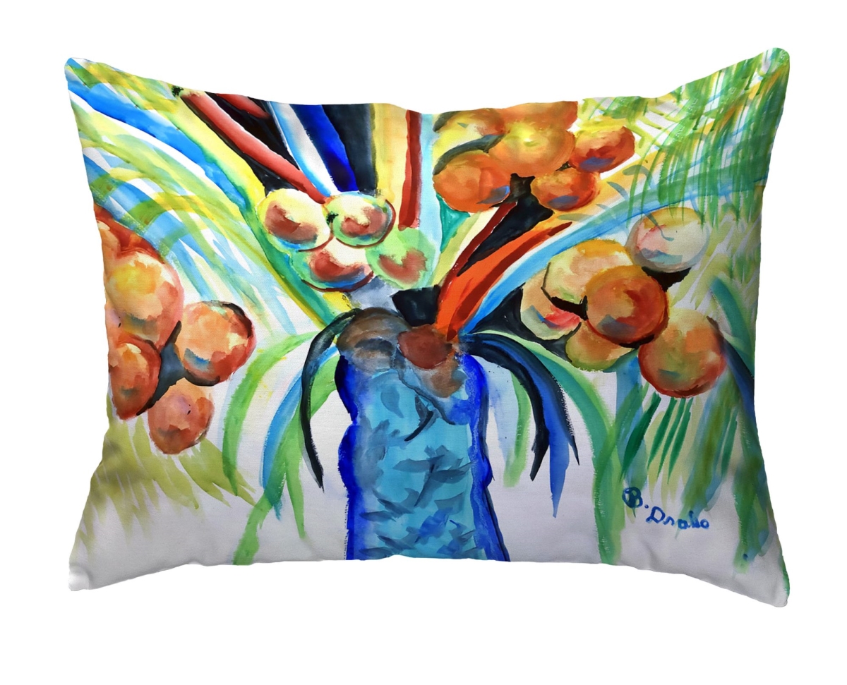 NC1514 More Coconuts No Cord Pillow - 16 x 20 in.