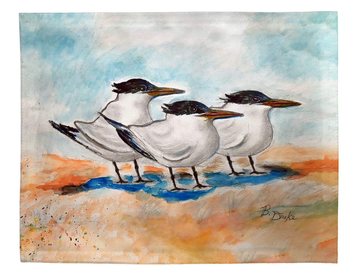 Picture of Betsy Drake PM1521 Three Terns Place Mat - 14 x 18 in. - Set of 4