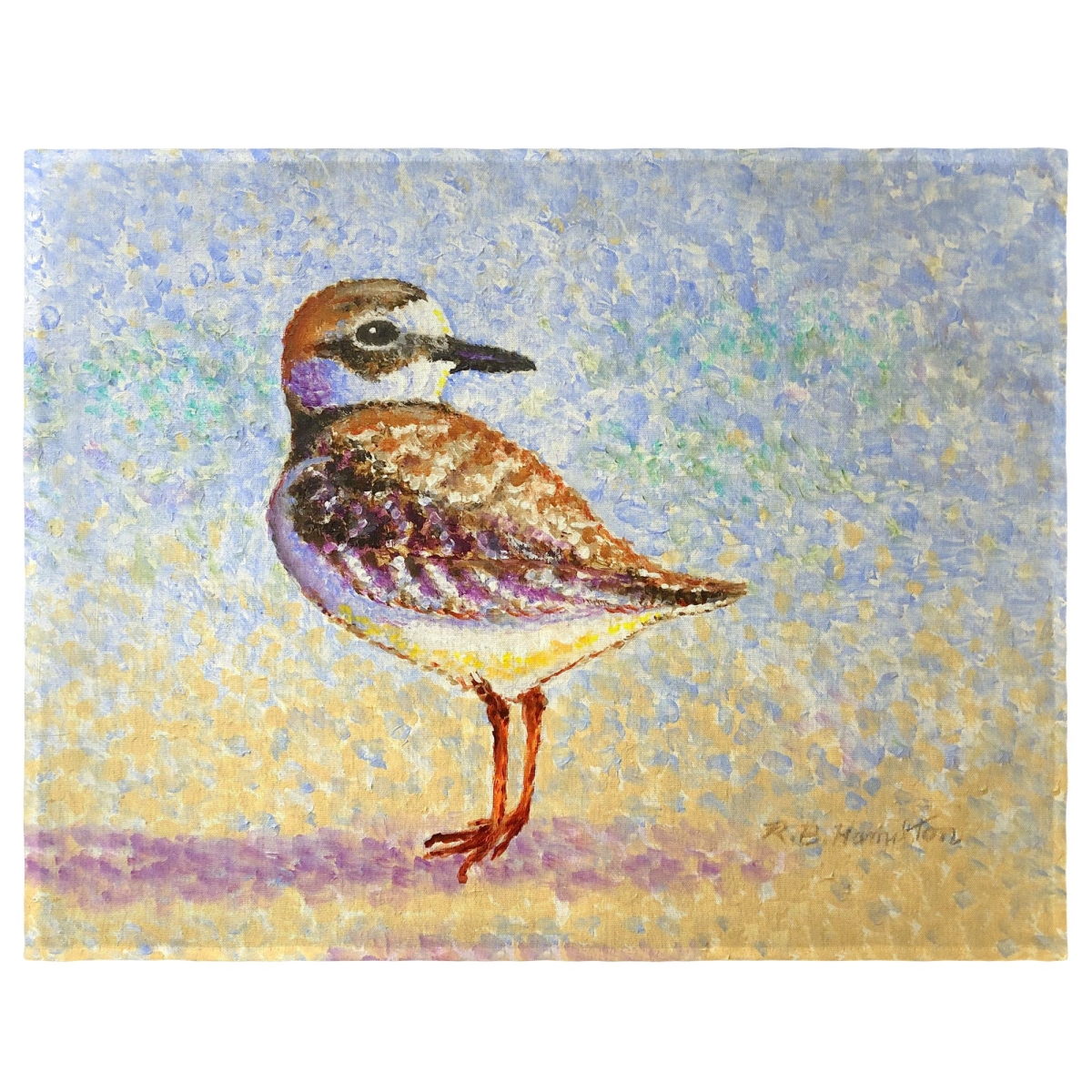 Picture of Betsy Drake PM1322 Wilsons Plover Place Mat - 14 x 18 in. - Set of 4