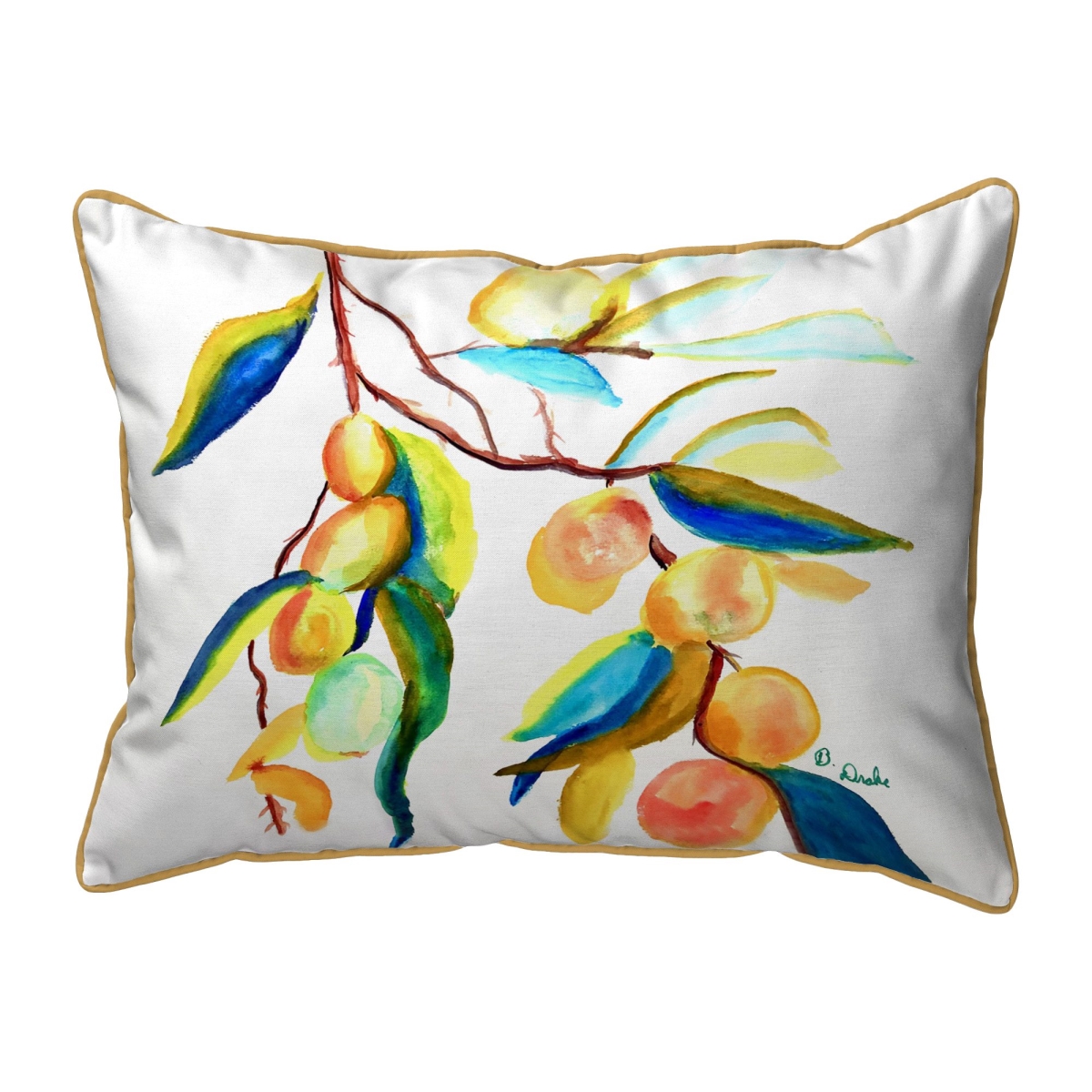 ZP1534 Peaches II Extra Large Zippered Pillow - 20 x 24 in.