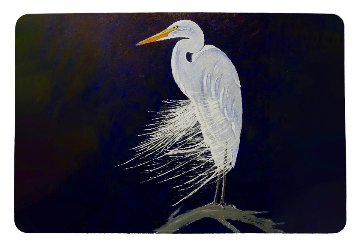DM1476 Egret Feathers Door Mat - 18 x 26 in.