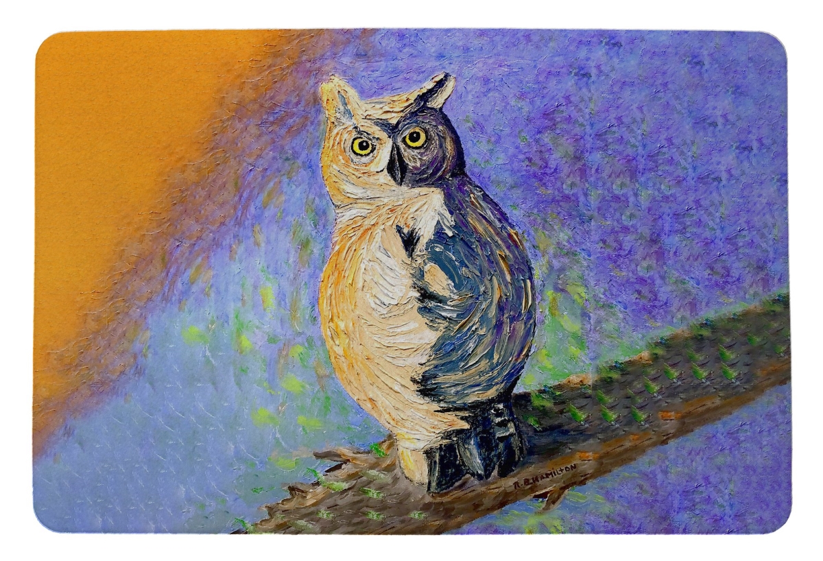 DM1493 Owl Looking Back Door Mat - 18 x 26 in.