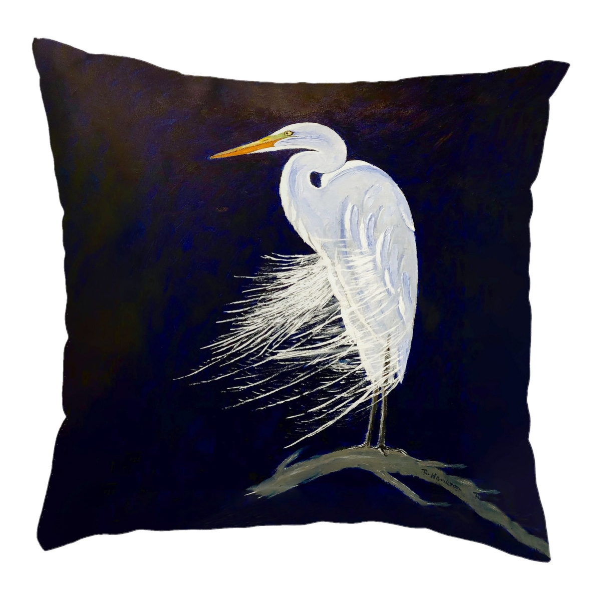 Egret Feathers Small Noncorded Pillow - 12 x 12 in.