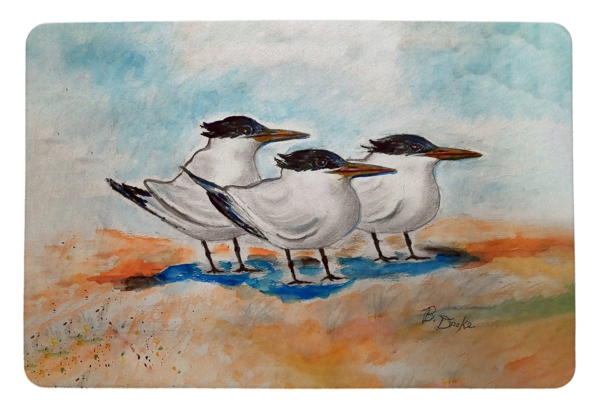 DM1521 Three Terns Door Mat - 18 x 26 in.