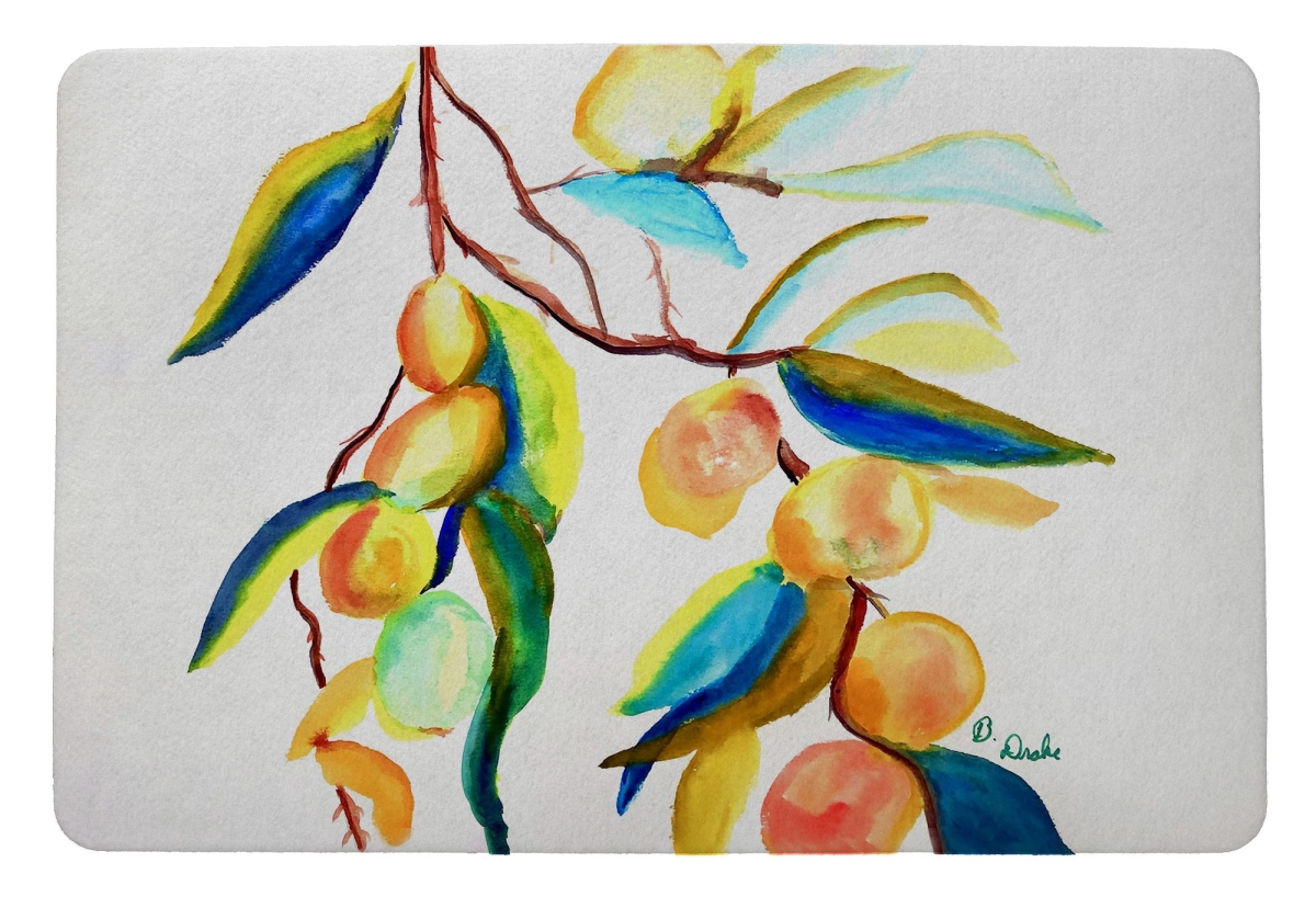 DM1534 Peaches II Door Mat - 18 x 26 in.