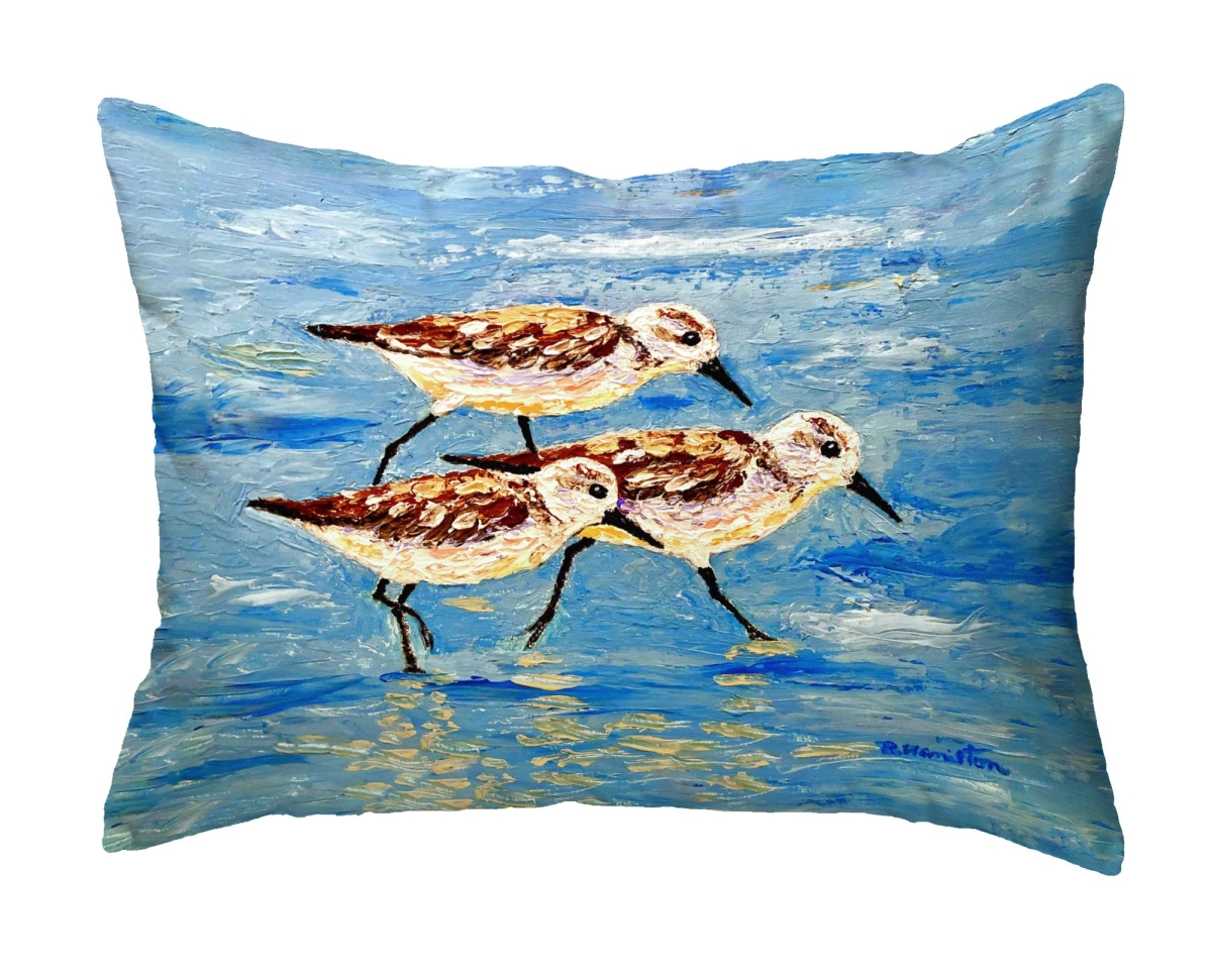 Sandpiper Race No Cord Pillow - 16 x 20 in.