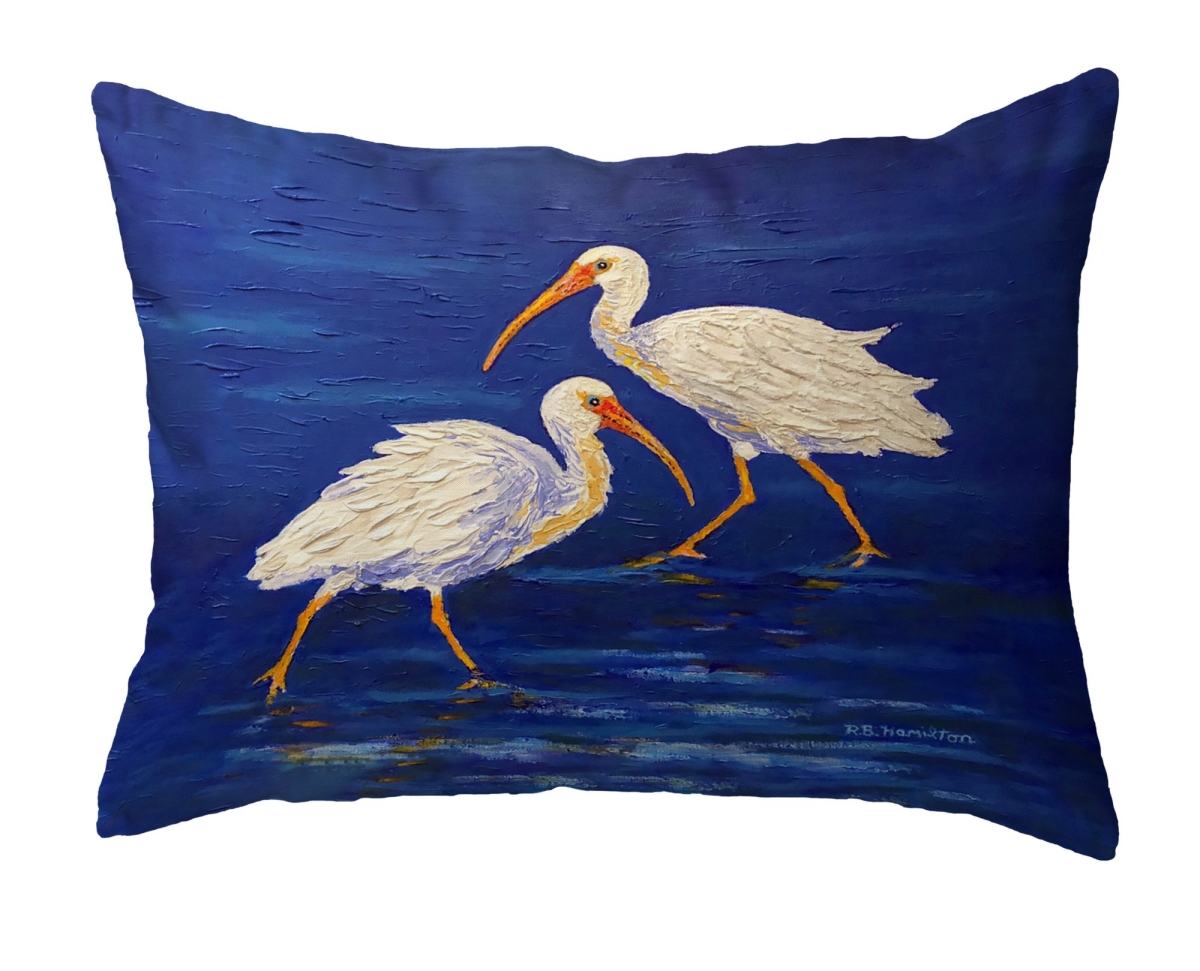 NC1447 Ibis Passing No Cord Pillow - 16 x 20 in.