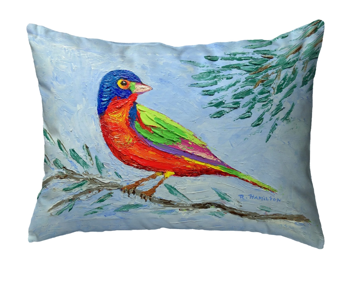 NC1449 Palette Painted Bunting No Cord Pillow - 16 x 20 in.