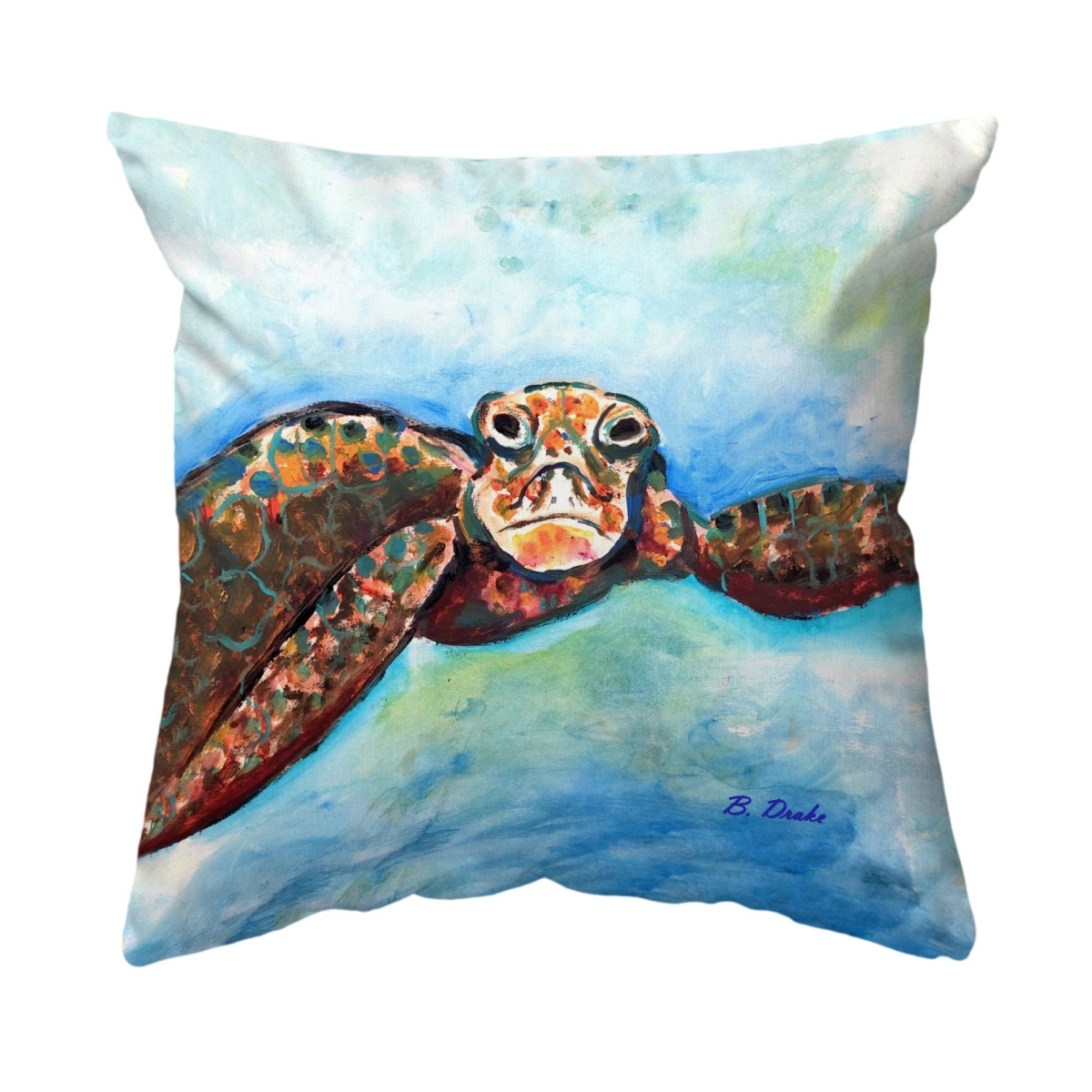 NC1280 18 x 18 in. Turtle Looking at Me No Cord Pillow