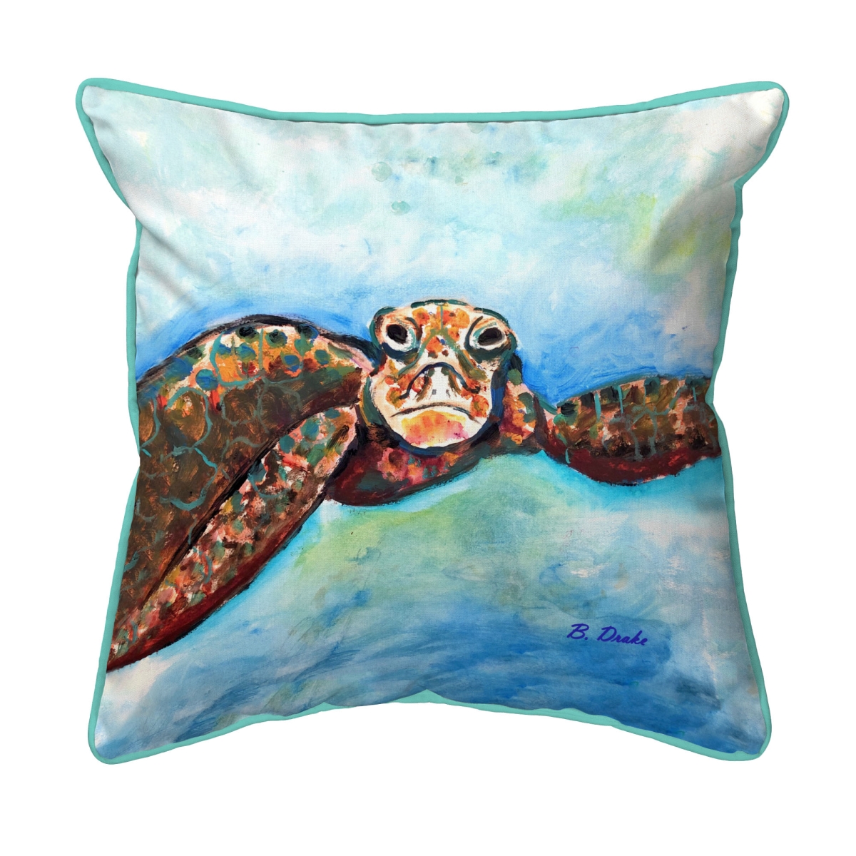 ZP1280 22 x 22 in. Turtle Looking at Me Extra Large Zippered Pillow