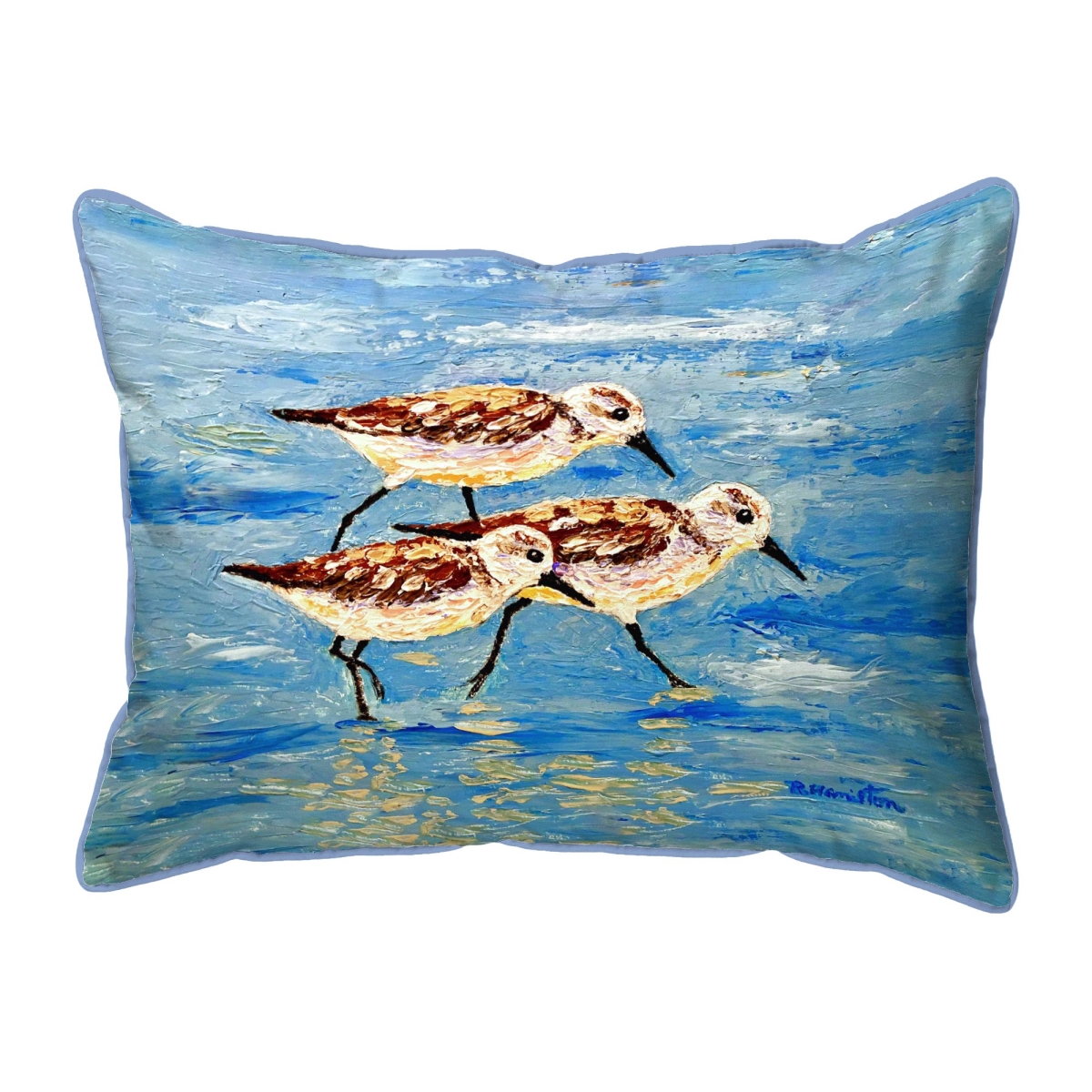 ZP1405 20 x 24 in. Sandpiper Race Extra Large Zippered Pillow
