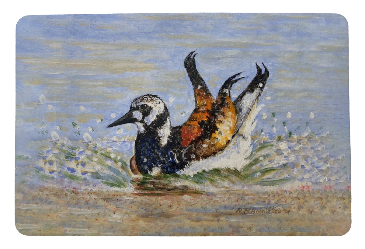 DM1314 18 x 26 in. Beach Bird Bath Door Mat