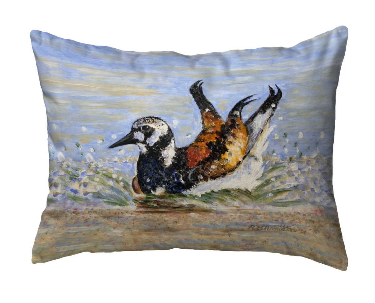 NC1314 16 x 20 in. Beach Bird Bath No Cord Pillow