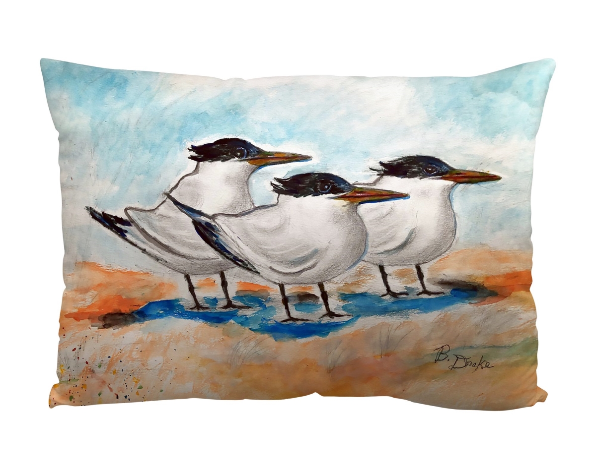 Picture of Betsy Drake Interiors SP1521 Three Terns Suede Indoor Zippered Pillow 14x20