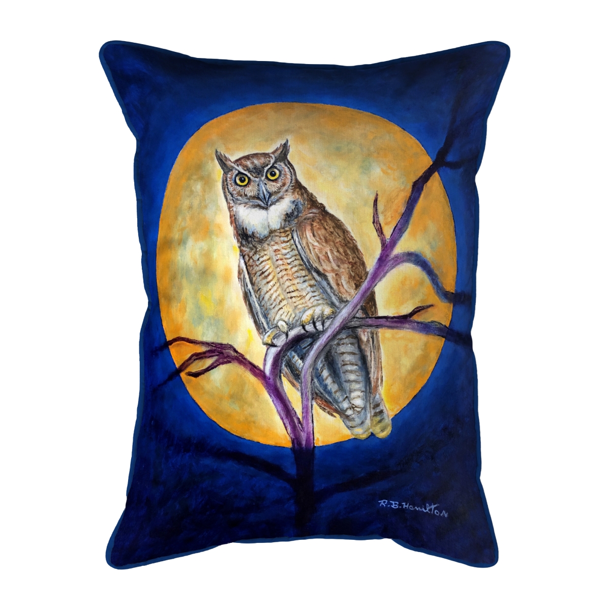Picture of Betsy Drake Interiors ZP1172 Owl in Moon 20x24 Extra Large Zippered Indoor/Outdoor Pillow