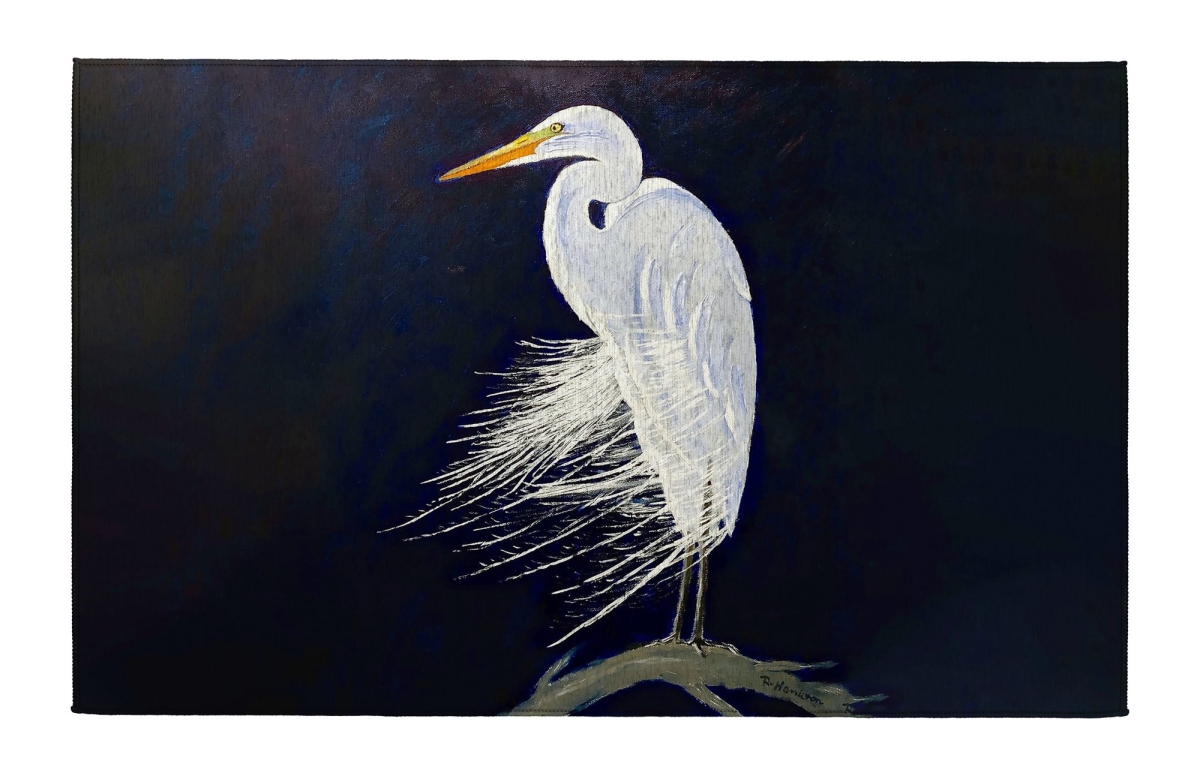 DR1476 Egret Feathers Indoor Dornier Area Rug 20x32